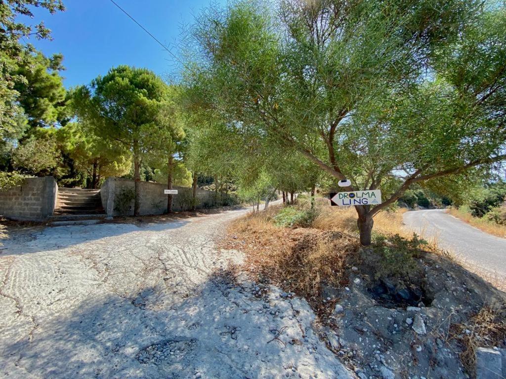 Drolma Ling Nature Cabins Theologos  Exterior photo