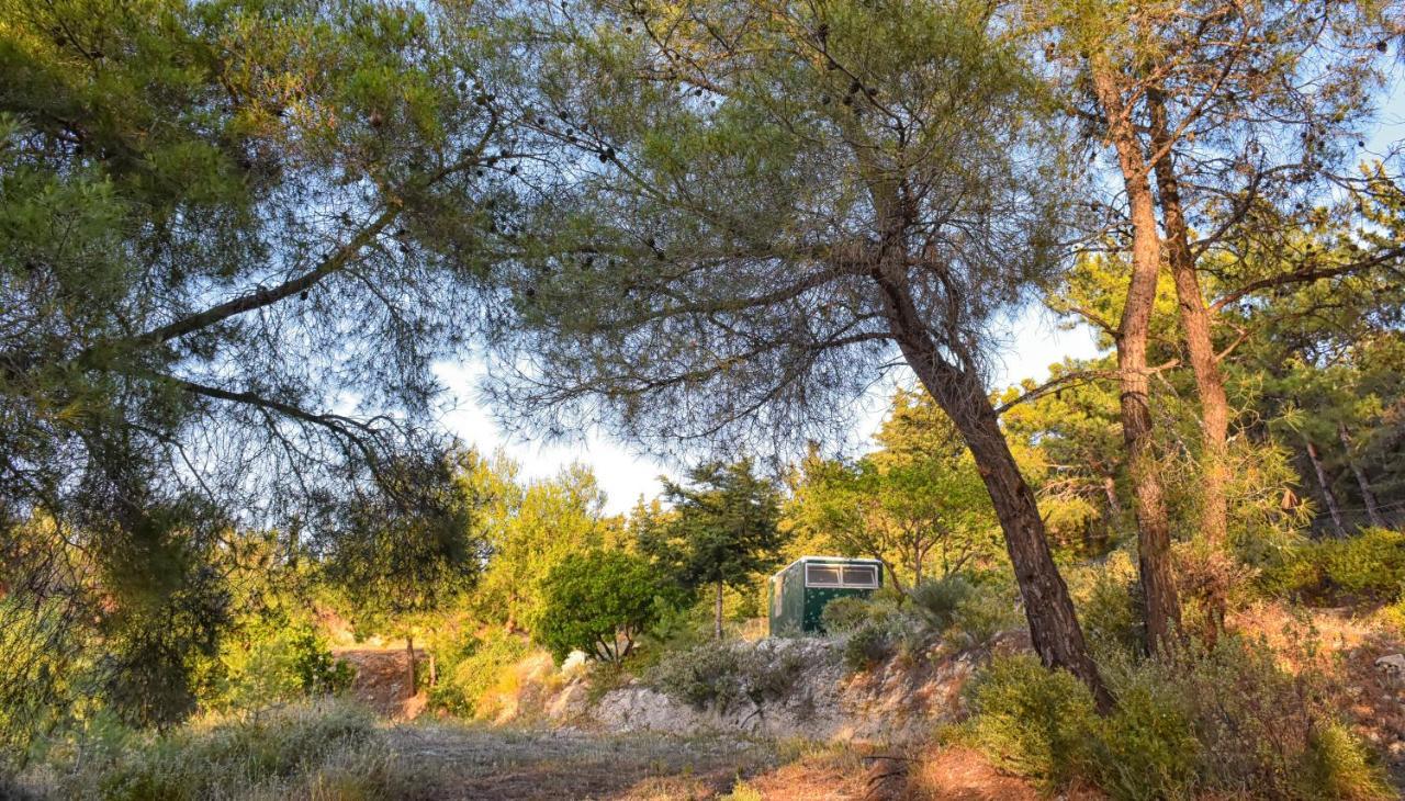 Drolma Ling Nature Cabins Theologos  Exterior photo